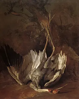 Oudry: Dead Heron