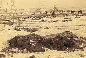 Disrespect: Several dead Lakota Sioux are wrapped in blankets