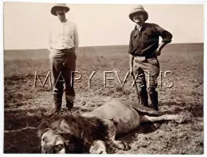 Damn: TWO WITH DEAD LION