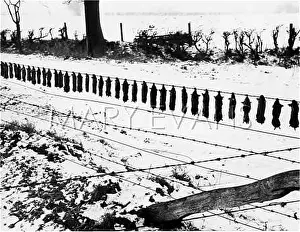 Moles: DEAD MOLES IN THE SNOW