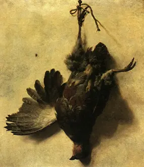 Partridge: Dead Partridge