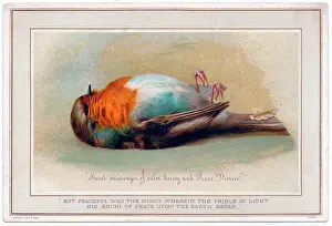 Dead robin on a Christmas card
