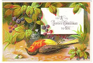 Redbreast: Dead robin on a Christmas card