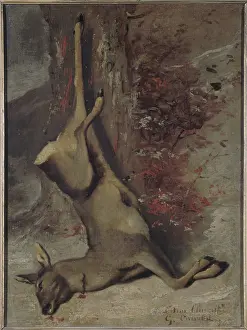 Courbet: The dead roe deer