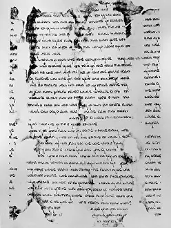 Paleo: Dead Sea Scroll