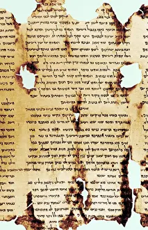 Scrolls: Dead Sea Scroll