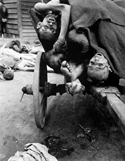 Malnutrition: Some of the dead slave laborers at the Mauthausen-Gusen