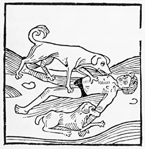 Basel: Dead traveler, 1481