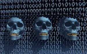 Boards: A deadly computer virus spreading through cyberspace