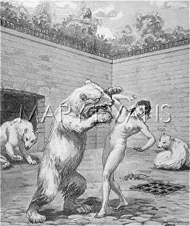Kitchenmaid: DEATH IN A BEAR-PIT