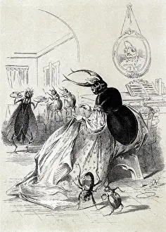 Satirizing: Death and Burial of Poor Cock, The Beetle