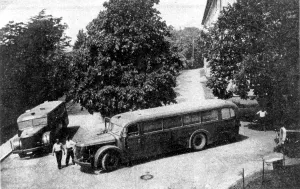 Assisted: Death Buses