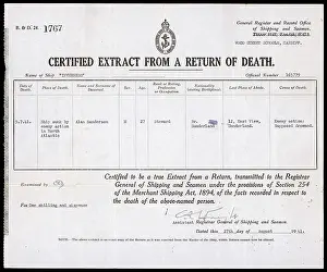Sanderson: DEATH CERTIFICATE 1941