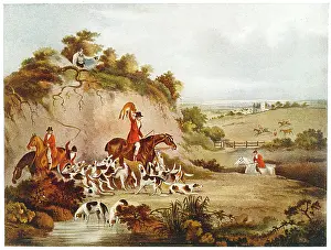 Flinging: DEATH OF THE FOX