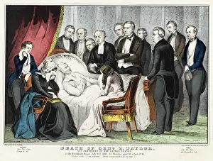 Museum Of The City Of New York: Death of General Zachary Taylor