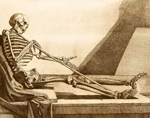 Dissection: Death Rests