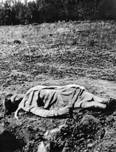 Collapse: Death by starvation in the Soviet Union, 1933