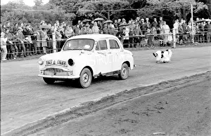 Stuntman: Death of a stuntman, Eastbourne