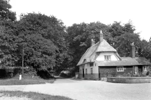 The Francis Frith Collection: Debden, the Fox c1955