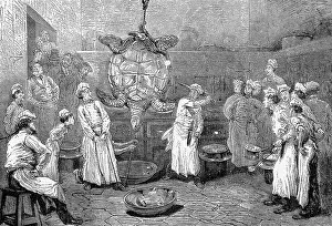 Behead: Decapitating a turtle, Paris