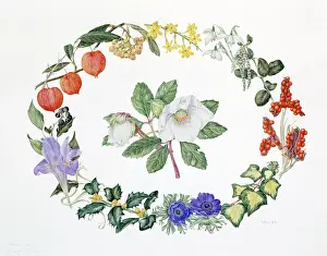 Snowdrop: December Floral Design