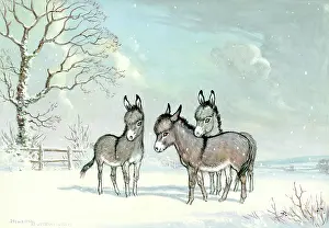 Butterworth: December Meadows - three donkeys in the snow