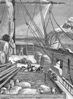 Nares: The Deck of HMS Alert, British Arctic Expedition, 1875