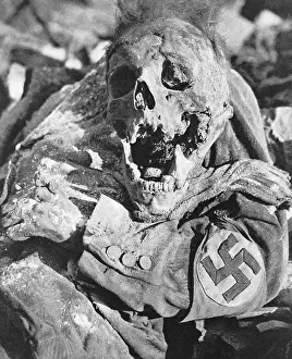 Anglo American: Decomposing corpse of man with swastika arm band