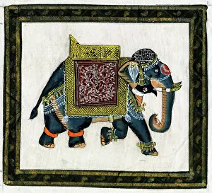 Terry Parker: Decorated Ceremonial Indian Elephant