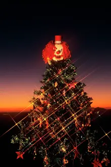Creepy Christmas: Decorated christmas tree with clown on top