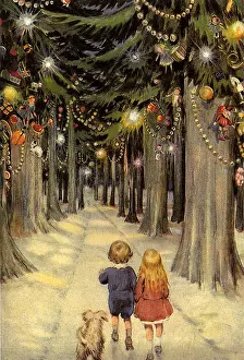 Pines: Decorated Forest