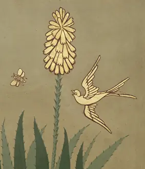 Knapp: Detail of decorative ceiling panel