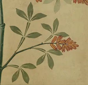 Knapp: Detail of decorative ceiling panel