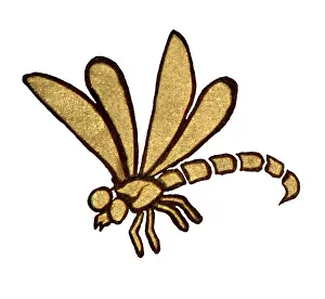 Odonata: Decorative ceiling panel