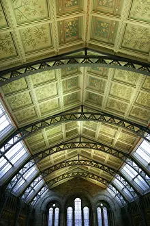 Bicknell: Decorative ceiling panels in the Natural History Museum's Ce