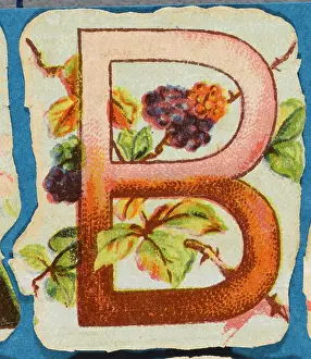 Alphabets: Decorative Flower Alphabet - B