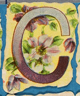 Alphabets: Decorative Flower Alphabet - C