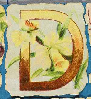 Alphabets: Decorative Flower Alphabet - D