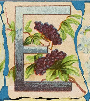 Alphabets: Decorative Flower Alphabet - E