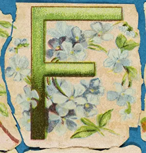Alphabets: Decorative Flower Alphabet - F