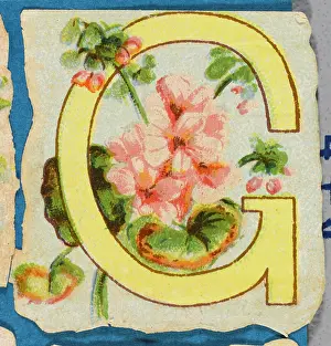 Alphabets: Decorative Flower Alphabet - G