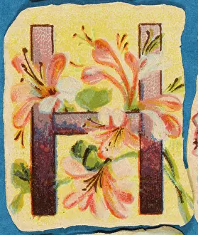 Alphabets: Decorative Flower Alphabet - H