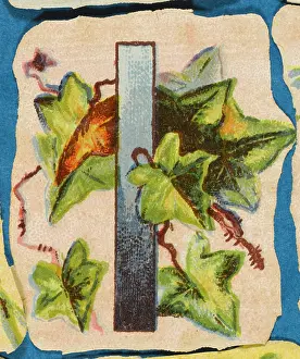 Alphabets: Decorative Flower Alphabet - I