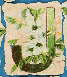 Alphabets: Decorative Flower Alphabet - J