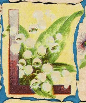 Alphabets: Decorative Flower Alphabet - L