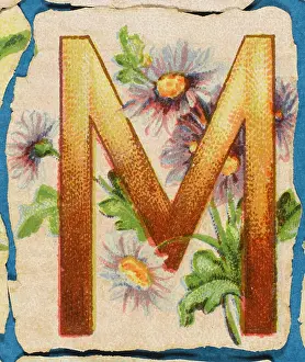 Alphabets: Decorative Flower Alphabet - M