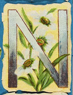Alphabets: Decorative Flower Alphabet - N