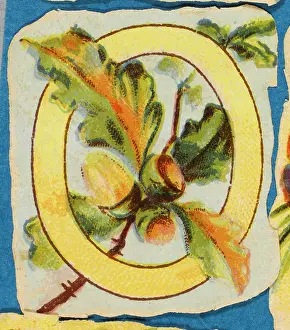 Alphabets: Decorative Flower Alphabet - O