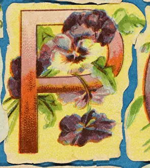 Pansy: Decorative Flower Alphabet - P