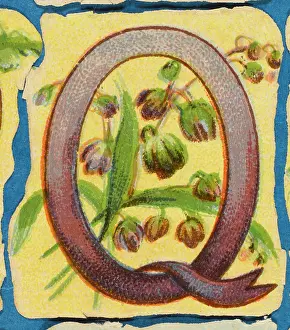 Alphabets: Decorative Flower Alphabet - Q
